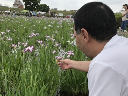 菖蒲園祭り